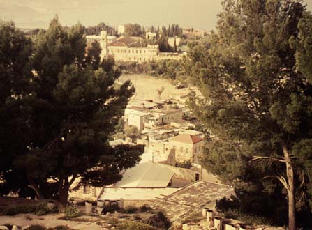 تاريخ مدينة صفد من صور قديمة وحديثة وخرائط وأخبار من الصحف الفلسطينية