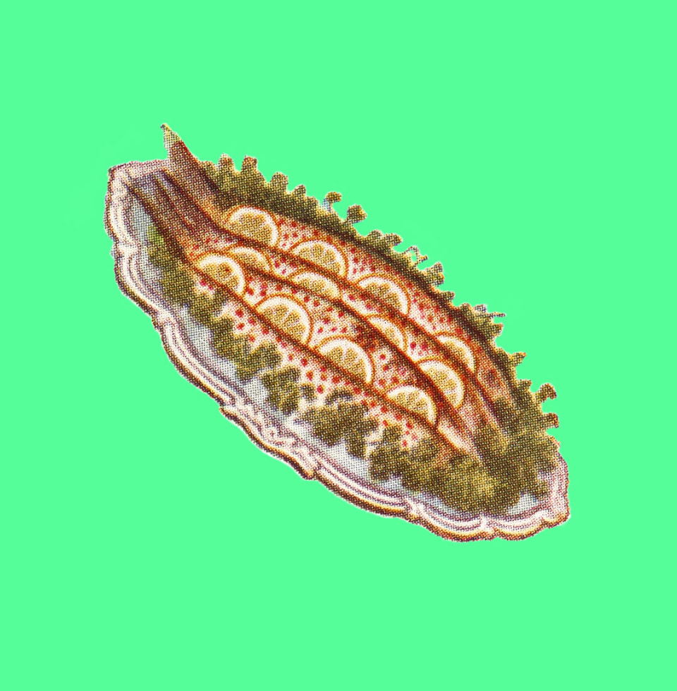 צלחת הגשה עם דג