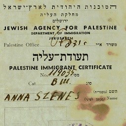 Palestine Immigrant Certificate