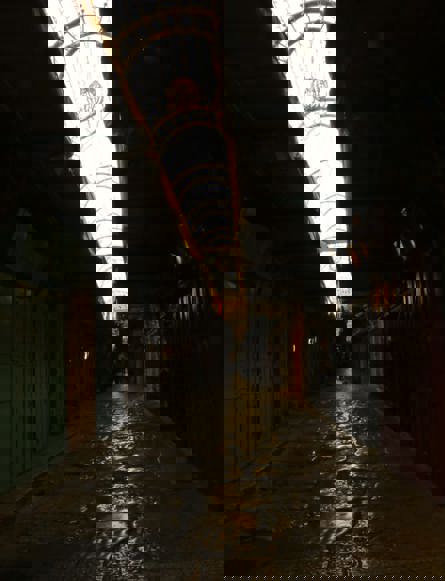 צילום: איתי פלינט