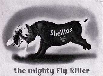 Shelltox, the mighty Fly-Killer