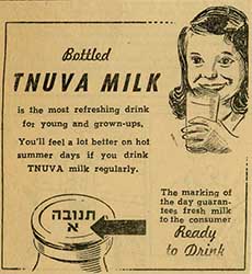 Bottled Tnuva Milk