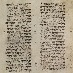 The Torah