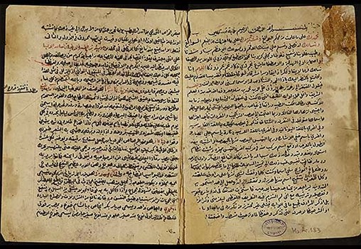 Tarjumān al-aṭibbā’ wa-lisān al-alibbā. Pharmacological dictionary by Taqī al-Dīn al-Asadī (d. 1585). Jerusalem, 1869. Ms Ar 183.