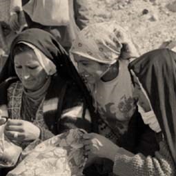 البدو وحياة البداوة