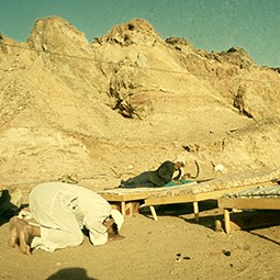 Sinai Bedouin