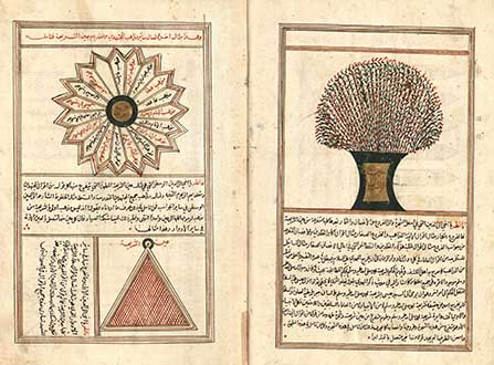 الفقه: مخطوطات للمدارس الفقهية وفقهاء من مناطق إسلامية متنوعة