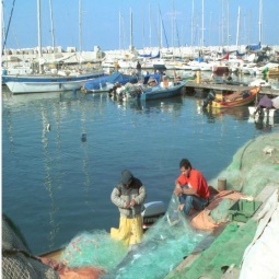 ميناء يافا للصيد