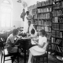 مكتبة في شارع هَدار