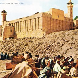 المسجد الإبراهيمي