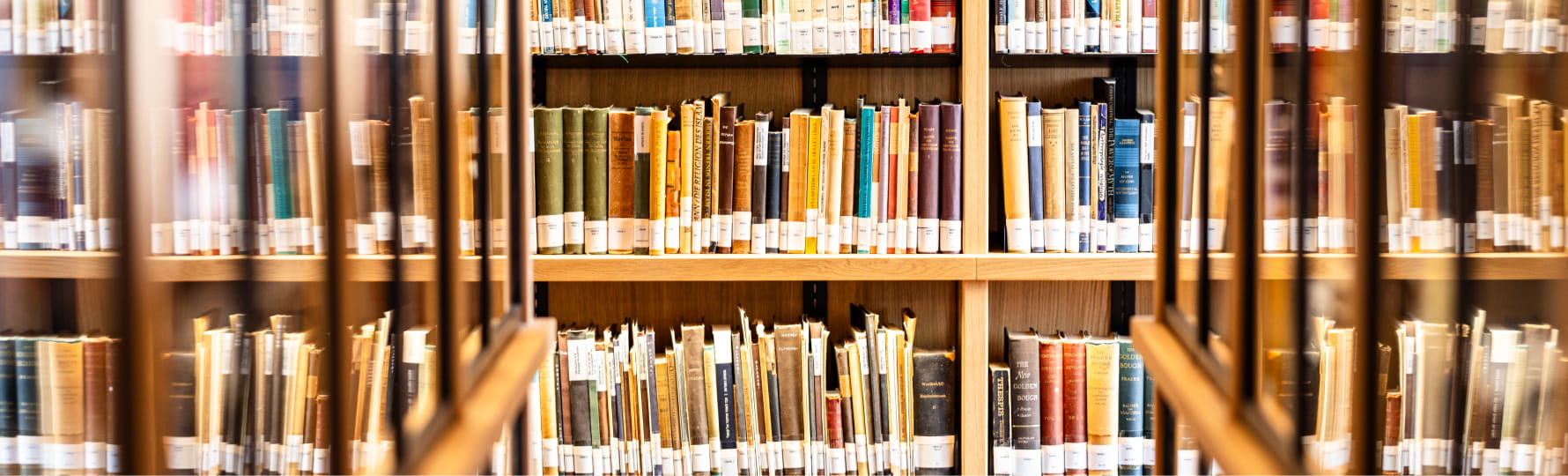 تصوير: يوسف كوهين