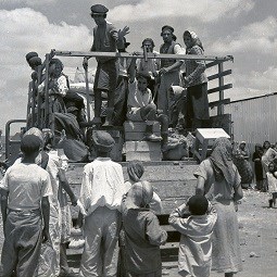 עולים מגיעים למעברה, קיץ 1950