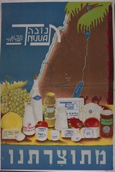 Israeli Dairy Products