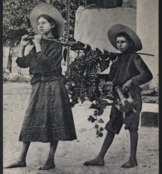 ילדי רחובות נושאים במוט ענבים