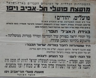 A Flyer Attacking the Irgun