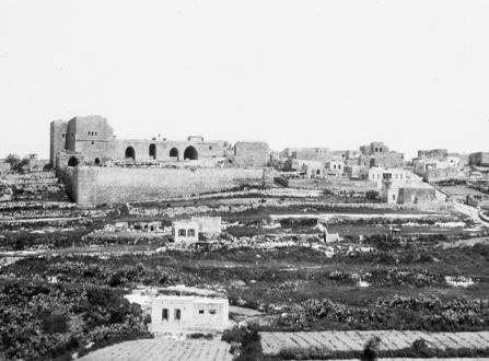 مصادر رقمية متنوّعة ومتاحة حول مدينة  شفاعمرو ضمن مجموعات المكتبة