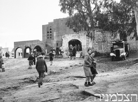 مصادر رقمية متنوّعة ومتاحة حول مدينة الخضيرة ضمن مجموعات المكتبة