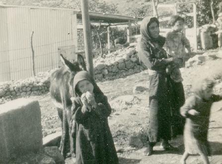 مصادر رقمية متنوّعة ومتاحة حول الرامة والبعنة ضمن مجموعات المكتبة