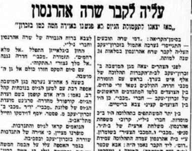 כתבה בעיתון