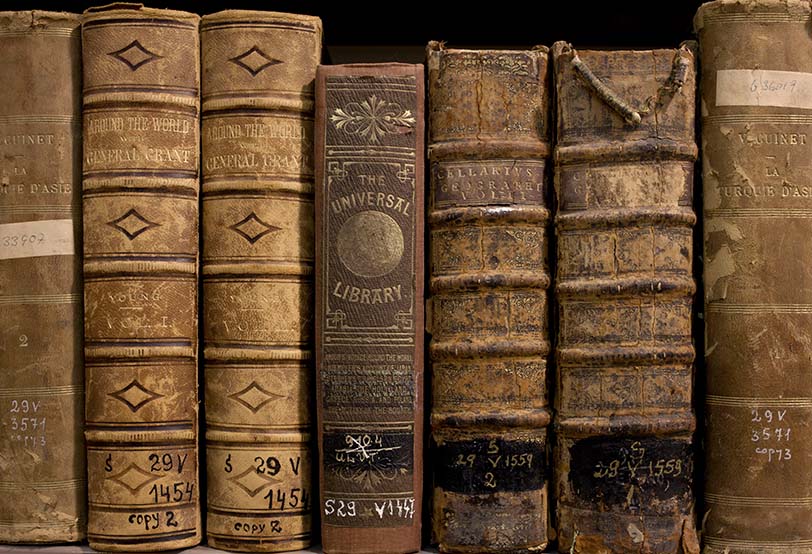 צילום: חנן כהן