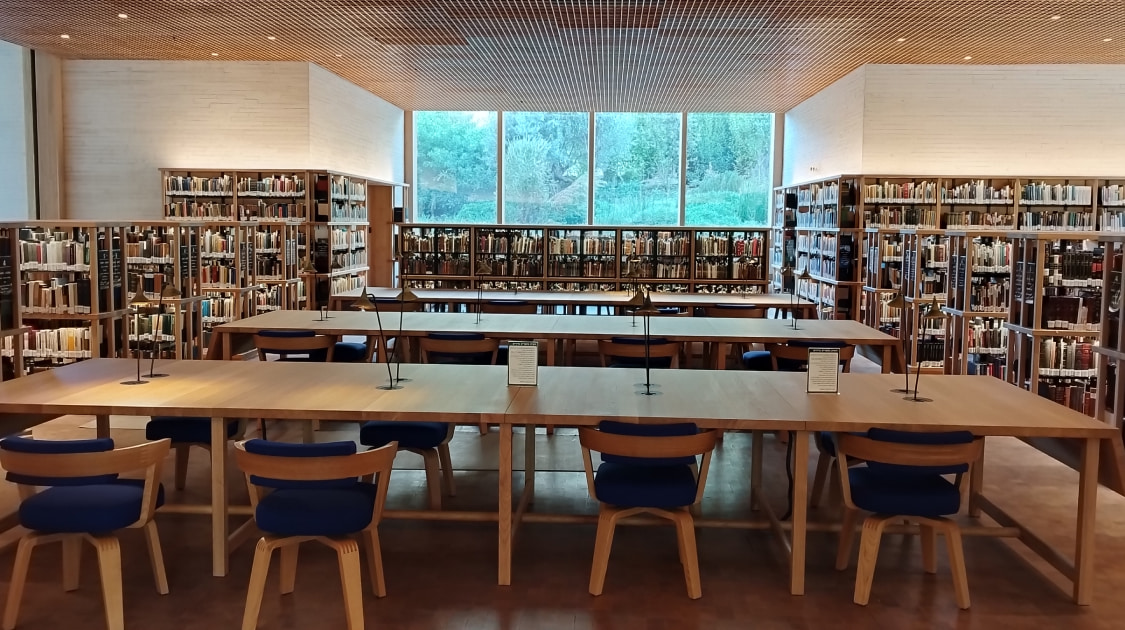 צילום: אביה יקותיאל