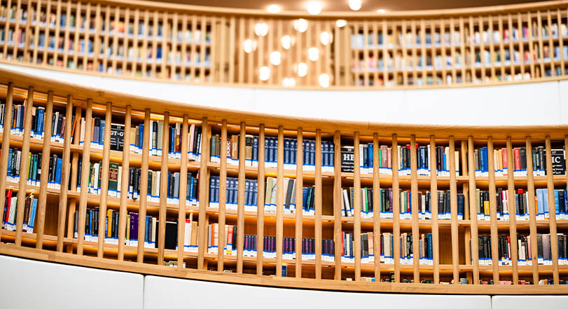 تصوير: يوسف كوهين